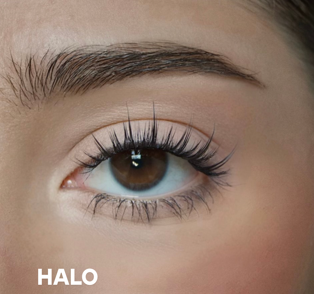 HALO - DIY Lash Clusters